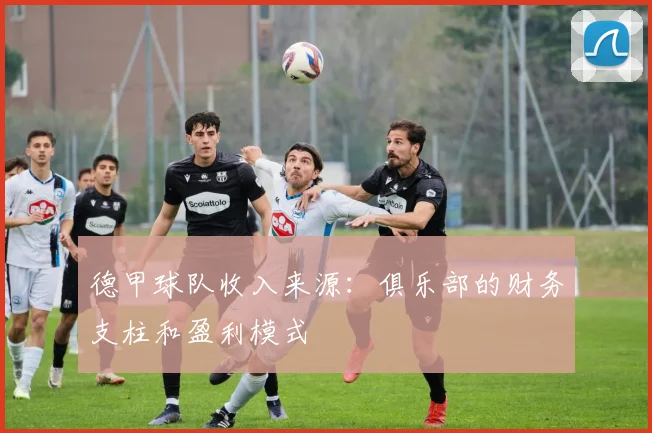德甲球队收入来源：俱乐部的财务支柱和盈利模式