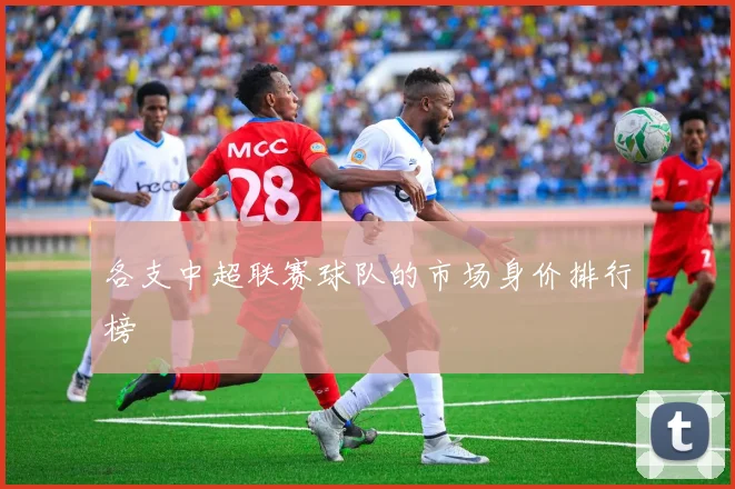 各支中超联赛球队的市场身价排行榜
