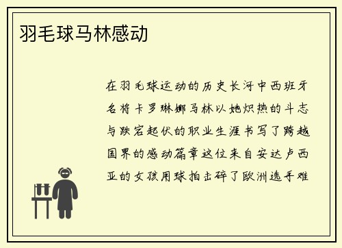 羽毛球马林感动