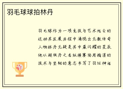 羽毛球球拍林丹